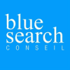 Blue Search Conseil France Jobs Expertini